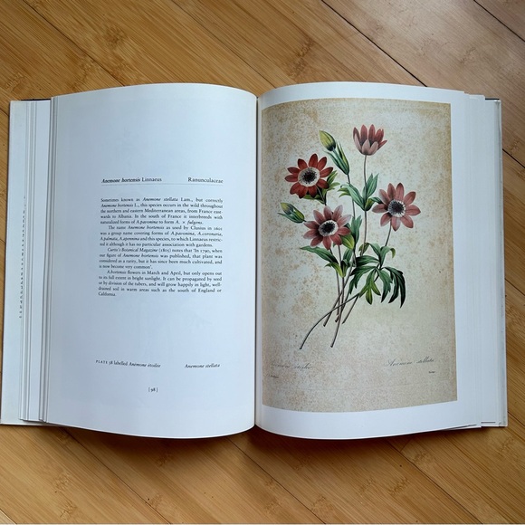 REDOUTE'S FAIREST FLOWERS (Hard Cover) Redoute, Pierre Joseph - Picture 8 of 12